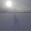 yilis_h